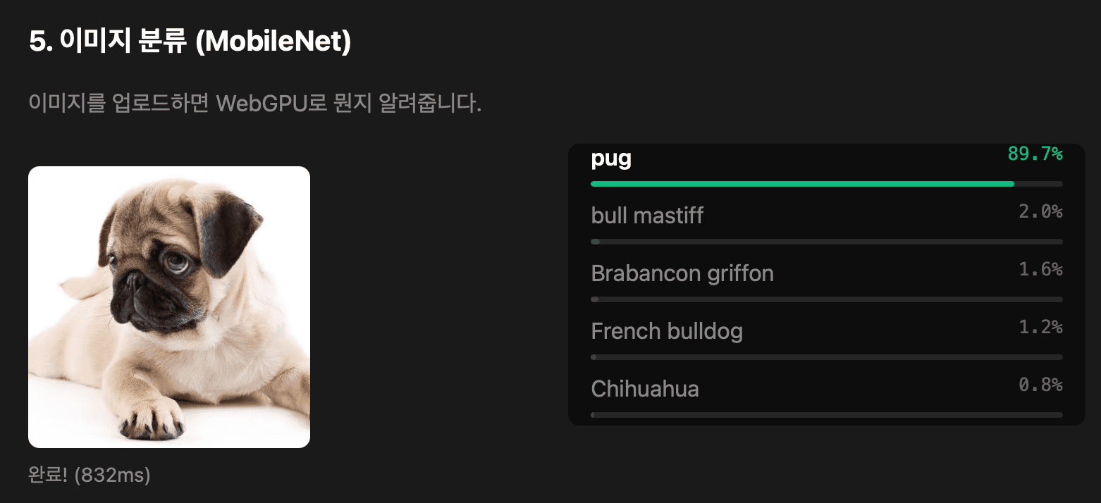 webgpu-image-classification.png